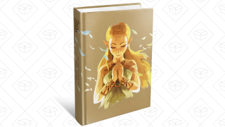 Save $16 On the Official, 512-Page <i>Breath of the Wild</i> Guide